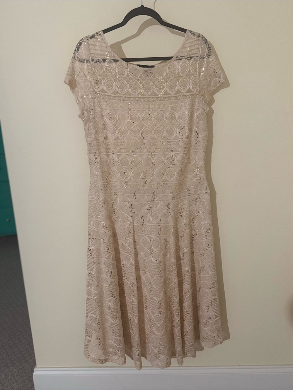 Signature by Sangria Beige Lace Fit-and-Flare Dress